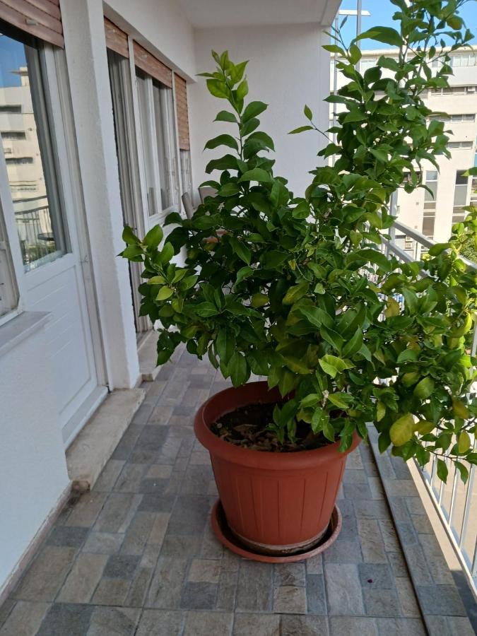 Room With Private Toilet And Terrace In City Center In Shared Apartment Сплит Екстериор снимка
